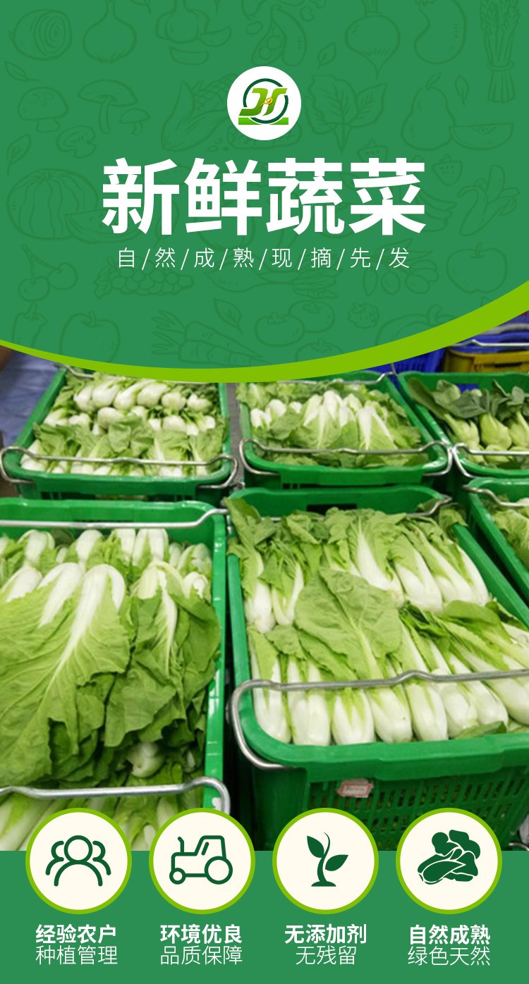 生鲜蔬菜配送 时令蔬菜水果新鲜采摘配送上门 菜品齐全 食材新鲜_6643f125.jpg